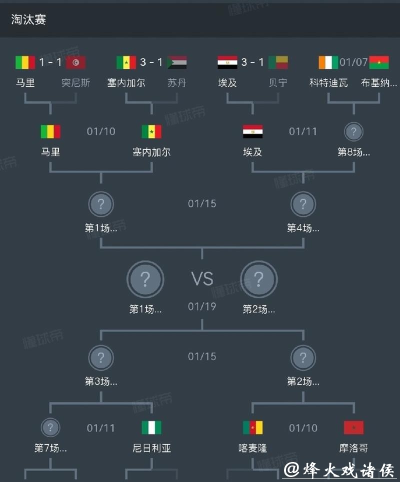 非洲杯：埃及、尼日利亚晋级八强